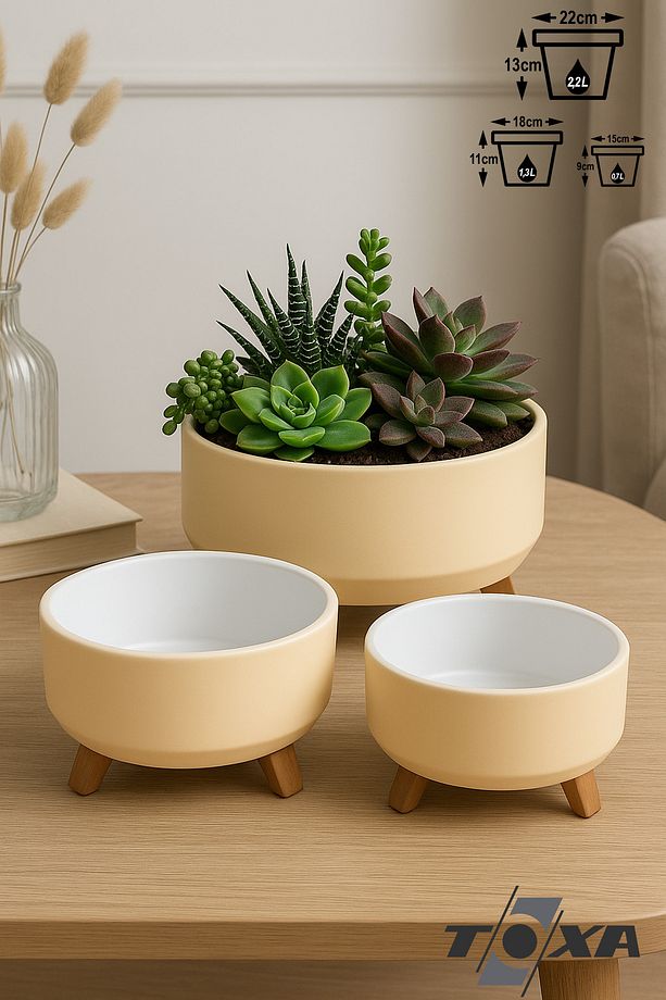 3 Boy Plastik Aranjman Saksı Seti Menekşe Sukulent Saksısı Set - 1
