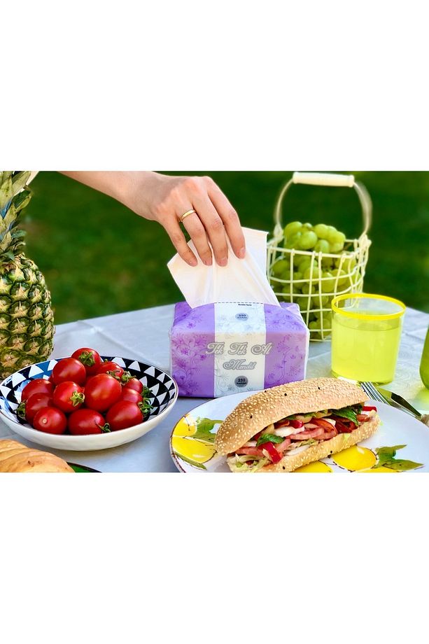Çek Çek Al Poşet Mendil (Peçete) 250 Yaprak 12'li Paket - 3