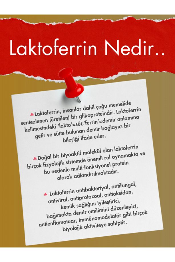 Lactoferrin Gold 1.8 | Laktoferrin, Vitamin C, Beta Glukan, Inulin, Zerdeçal Ekstresi, Çinko - 5
