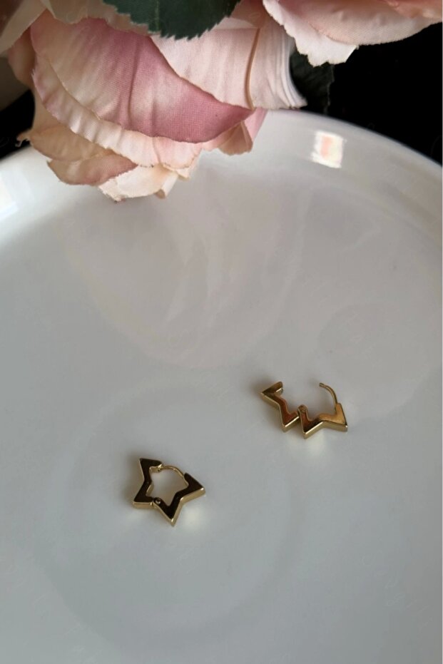 Lotus Series Star Figured Steel Earrings