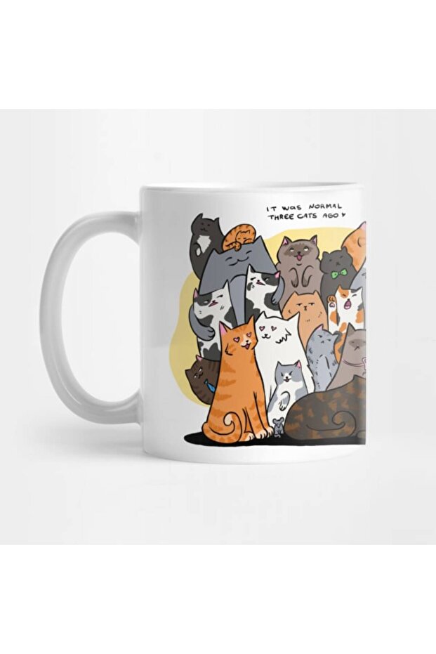 كوب القطط - 1