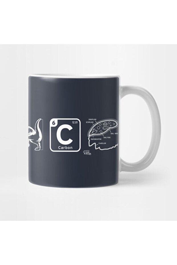 العلوم - كوب العلم - 3