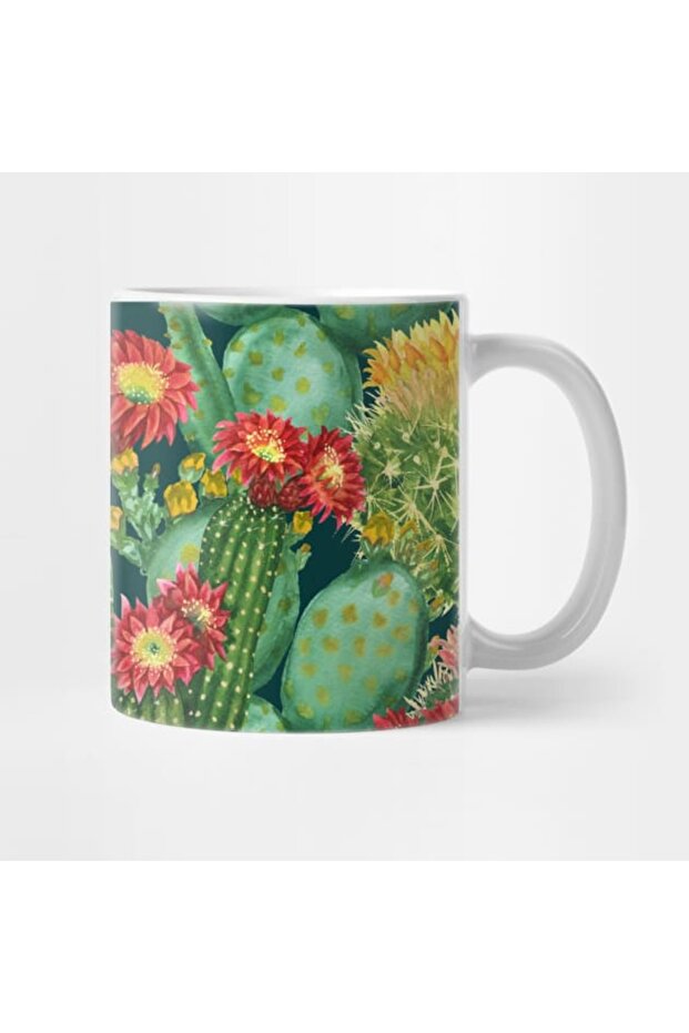 كأس القدح الصبار - 2