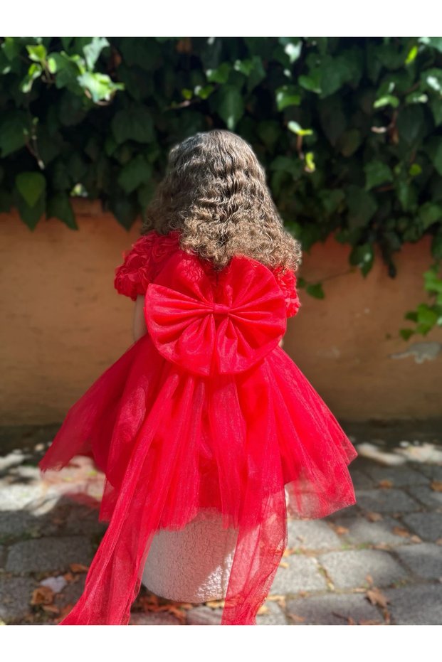 Baby Girl Short Sleeve Long Bow Birthday Party Wedding Special Occasion Evening Dress Girl's Dress