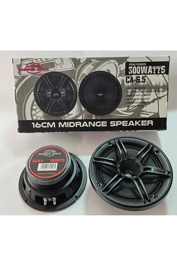 16 cm Mıdrange Speaker 300 Watts - 1