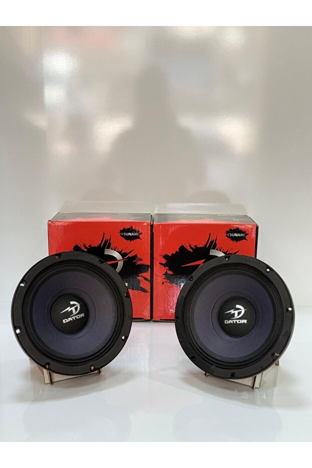 8PEE224 20CM 250RMS MİDRANGE - 1