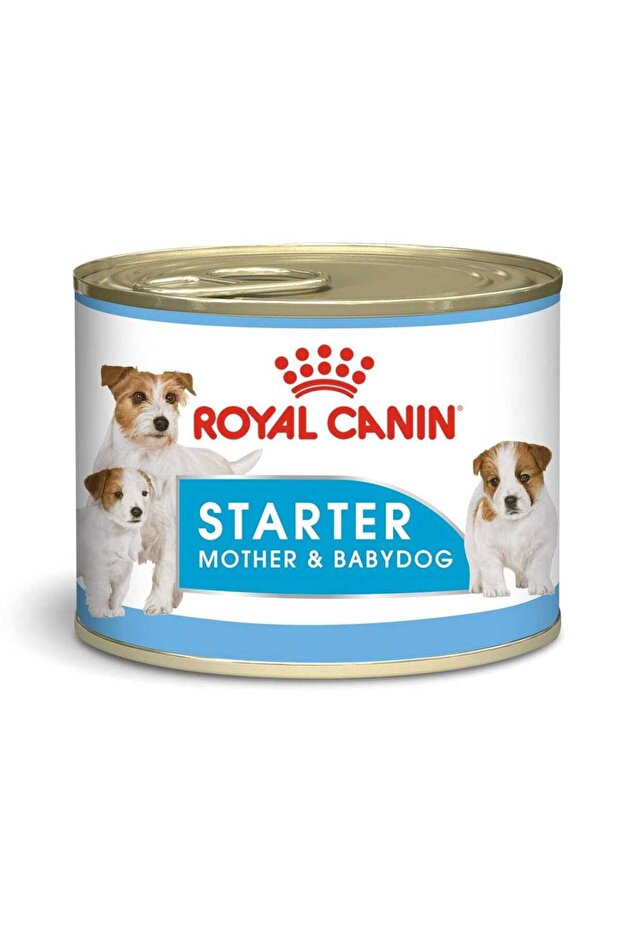 Canine Health Nutrition Starter Mousse (WET FOOD - Cans) Pack of 12