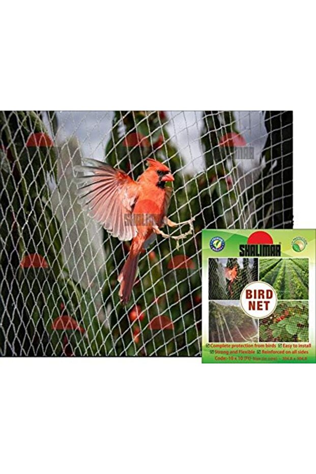Bird Net - 2