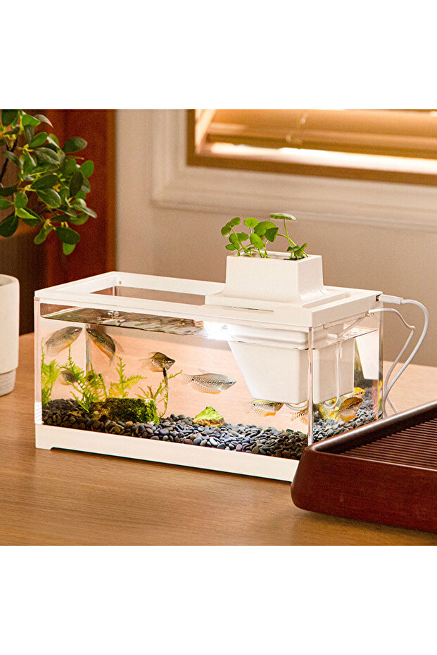 Aquarium fish tank mini - 1