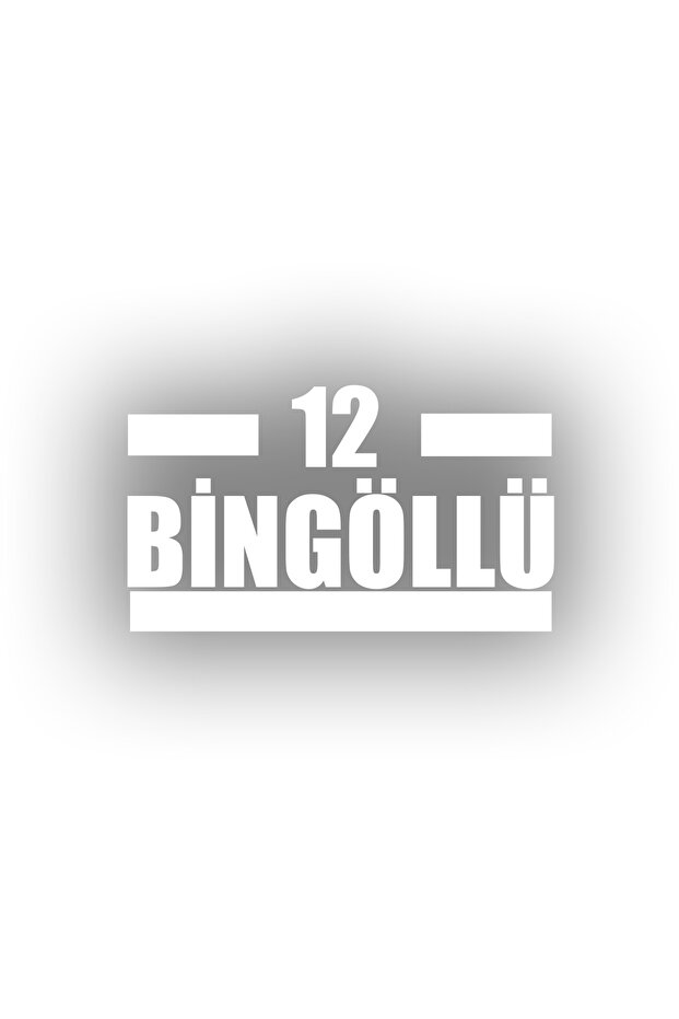12 ملصق سيارة بينجو 17x17 سم أبيض