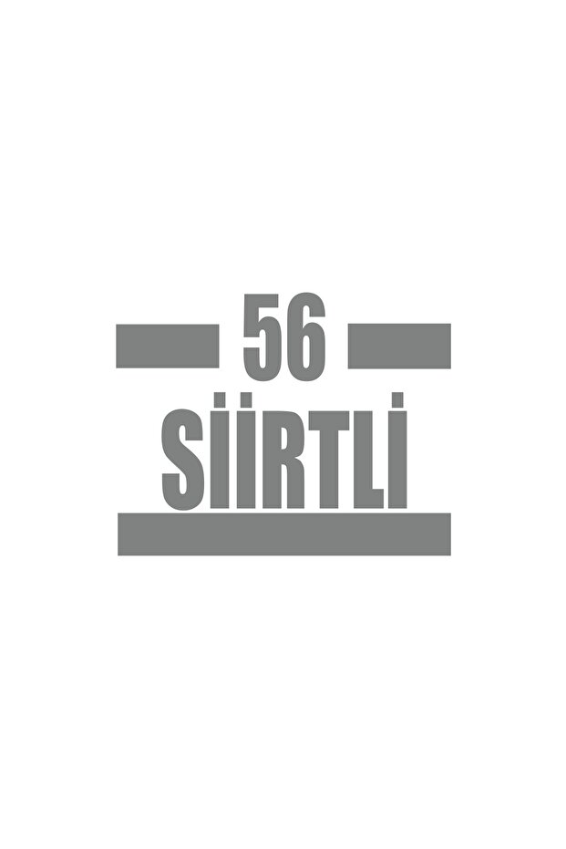 56 Sliders Car Sticker 17X17 cm Gray