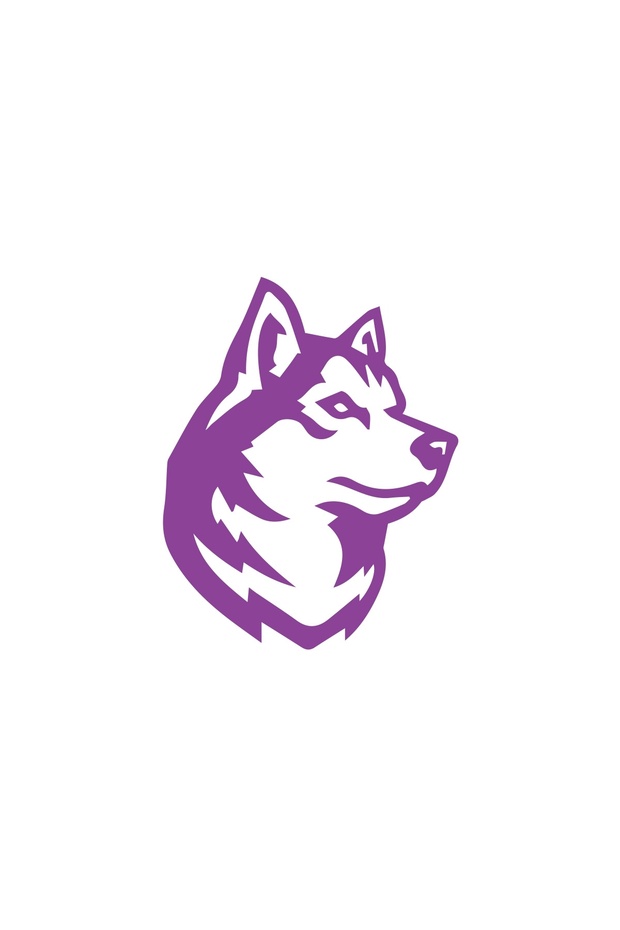 Wolf Sticker 17X17 cm Purple