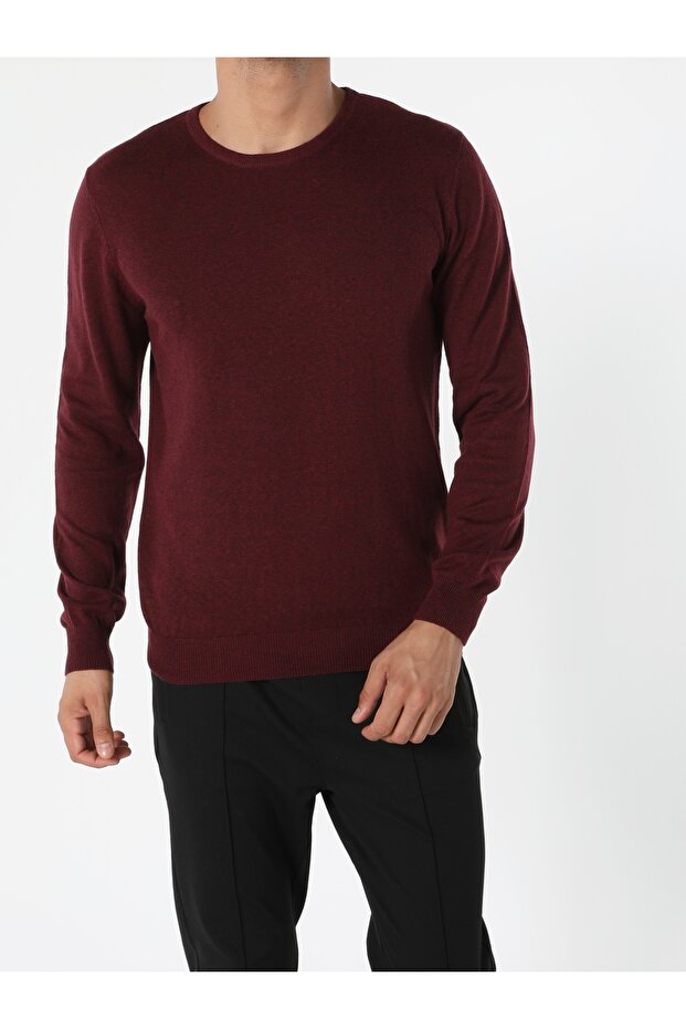 Regular Fit Bisiklet Yaka Erkek Mor Kazak - 3