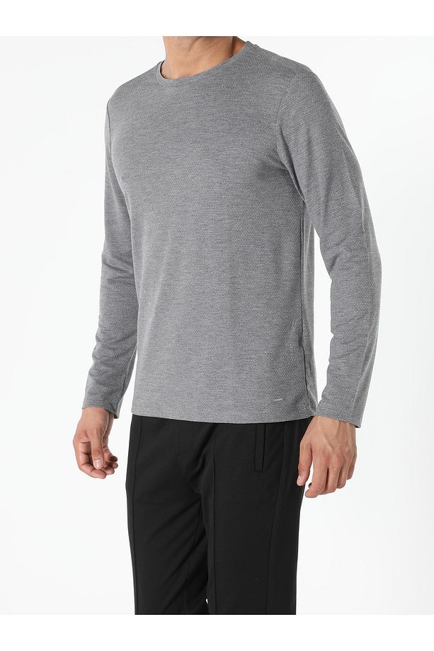 Regular Fit Yuvarlak Yaka Düz Erkek Gri Uzun Kol Tişört - 4