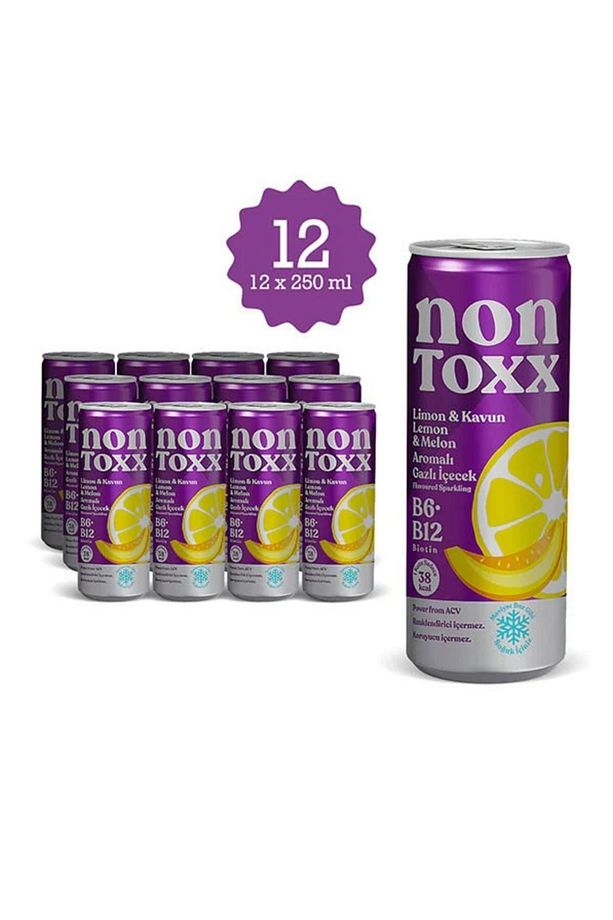 Limon & Kavun Aromalı Sirkeli Gazlı İçecek 250 ml x 12 Adet (Koli) - 2