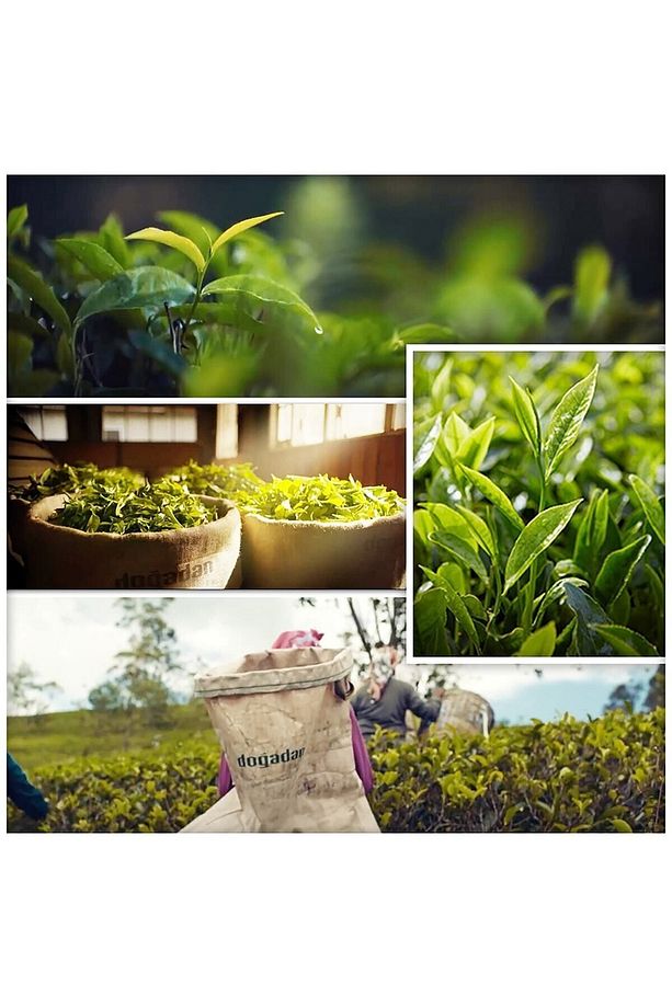 Earl Grey 100'lü Demlik Poşet Siyah Çay X 12 Adet - 7