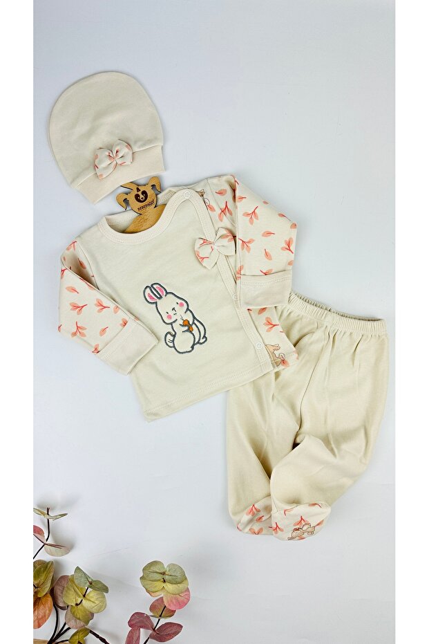 Rabbit Themed Baby Self-Gloved Triple Newborn Hospital Discharge Set