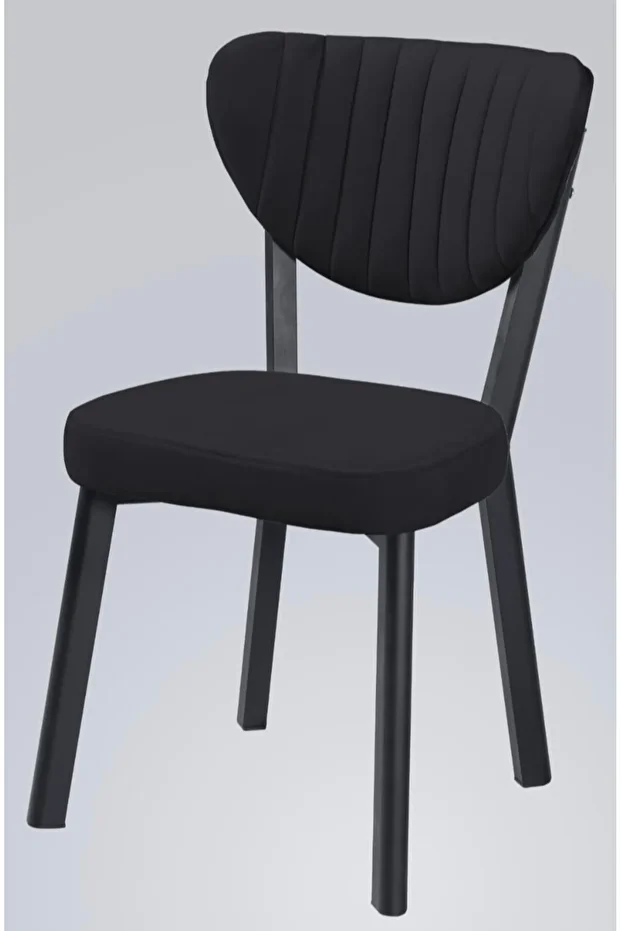 EVCE Elma Modeli tekli - 1
