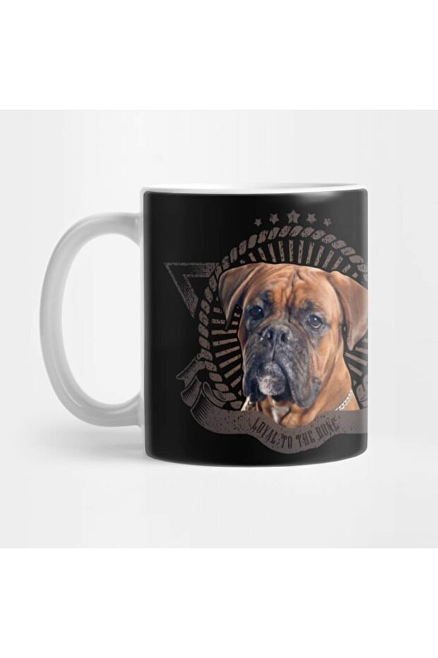 كوب كلب الملاكم - 1