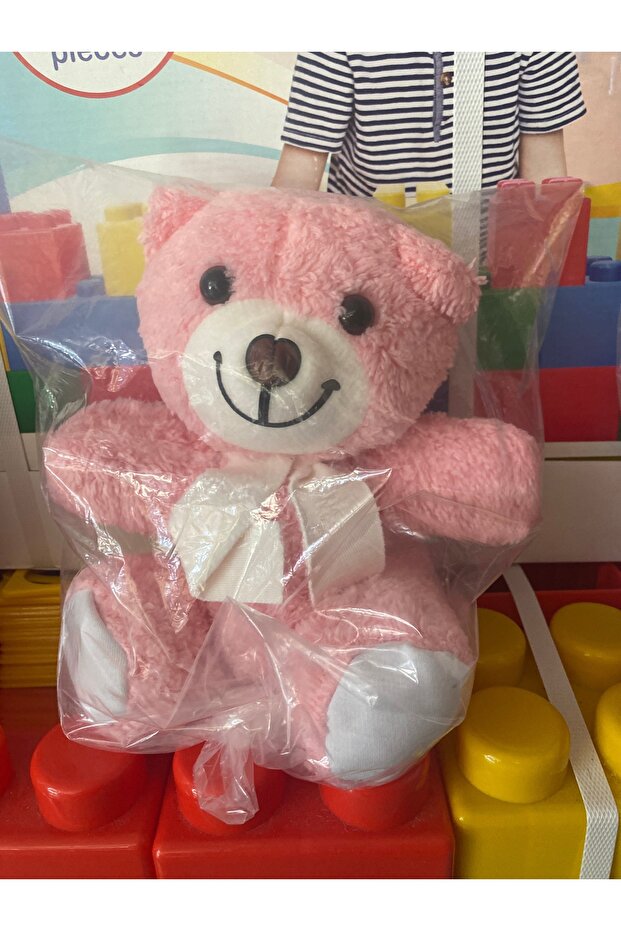 Plush Teddy Bear