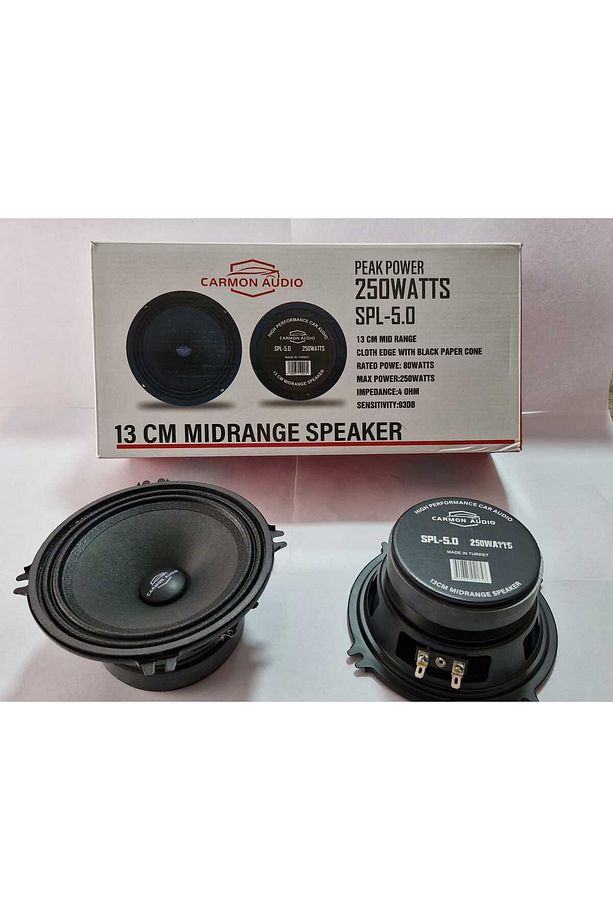 13 cm Midrange 250 watts - 1