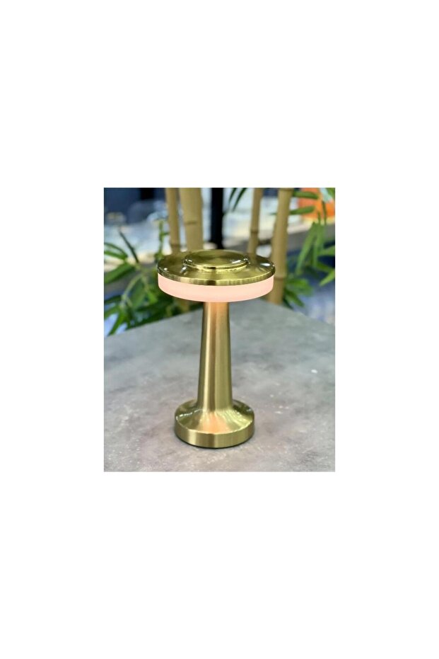 491 Masa Lambası 20 Cm - Gold - 2