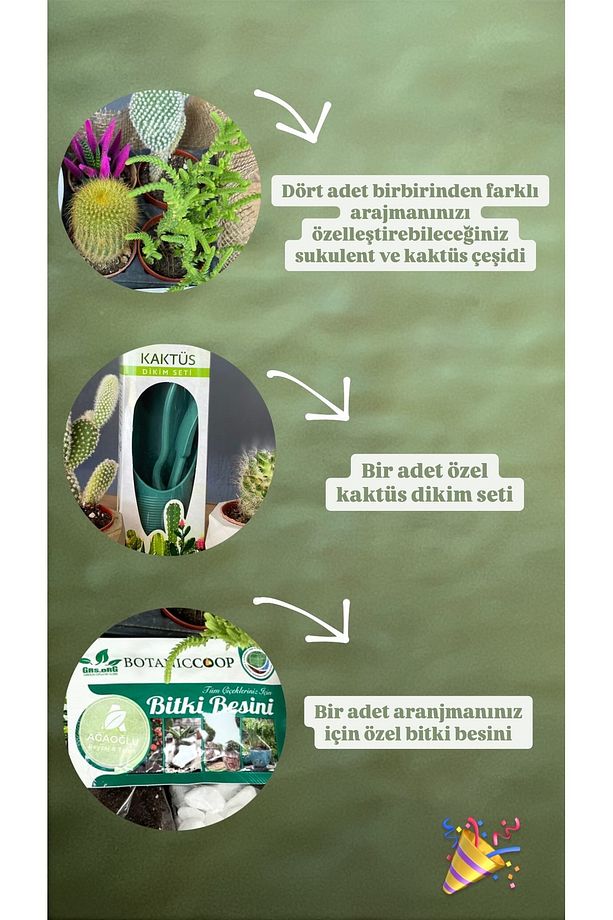 Kaktüs Sukulent Hediye Seti - Başlangıç Seti- Aranjman Seti - 4