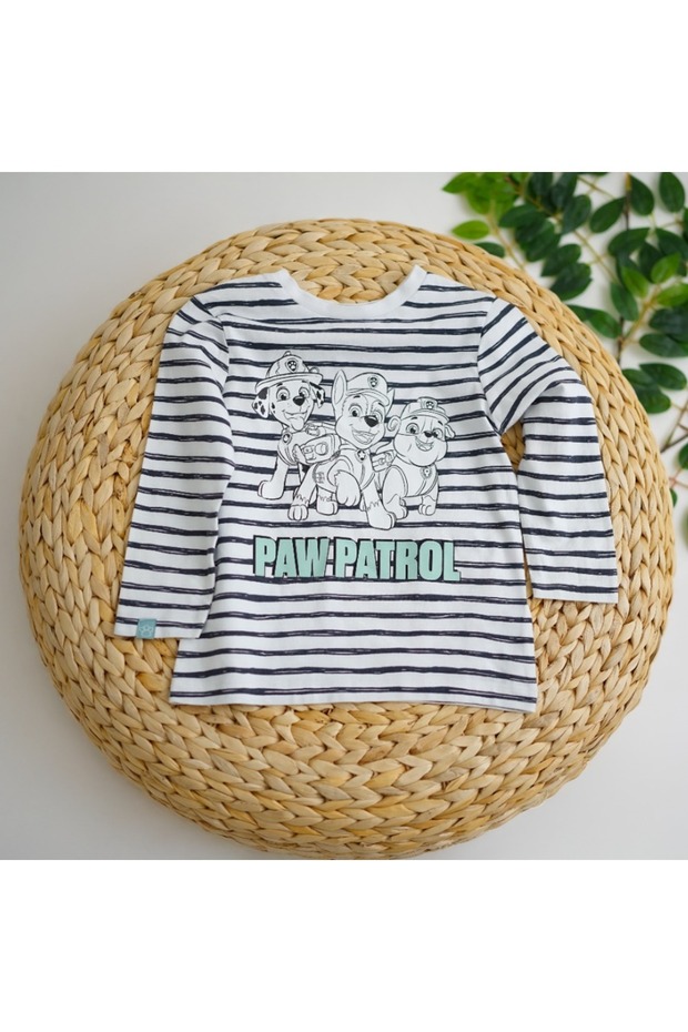 Paw Patrol Printed Striped Boys' T-Shirt