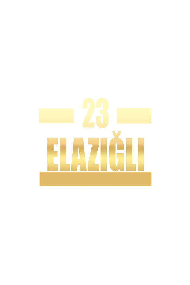 23 Elazığ Car Sticker 17X17 cm Gold