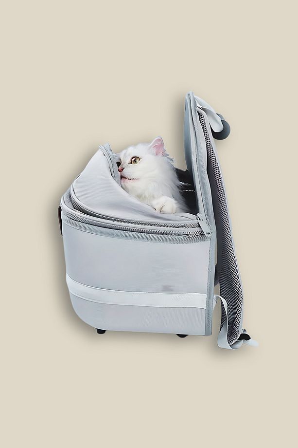 Krema - Fileli Kedi Taşıma Çantası - 4