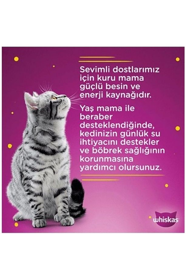 Somonlu Ve Tavuklu Güveç Et Çeşitleri 4x85 gr (13 PAKET,52 ADET TEKLİ) - 4