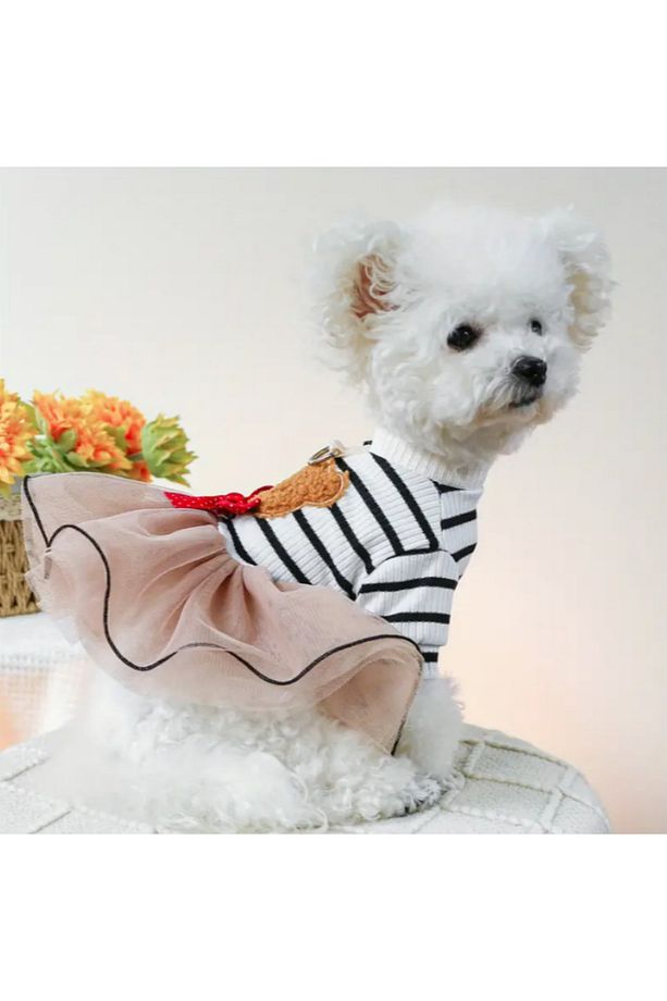 Teddy Bear Pom Pom Etek Köpek Elbisesi - 2