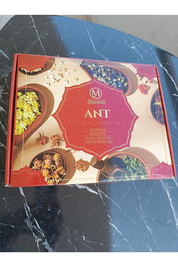 ANT SETİ - 6