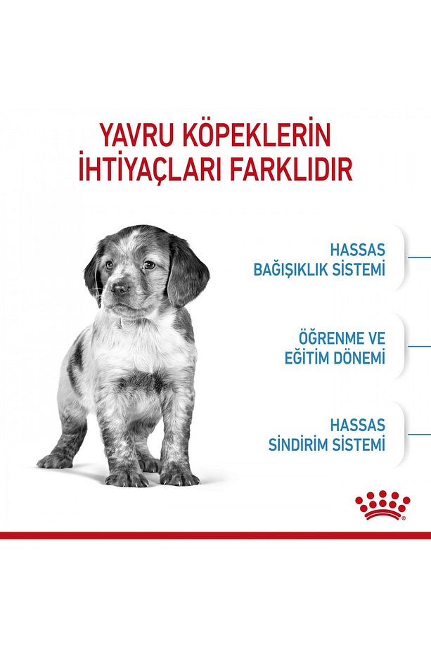 Orta Irklar Için Yavru Kuru Köpek Maması 15kg - 4
