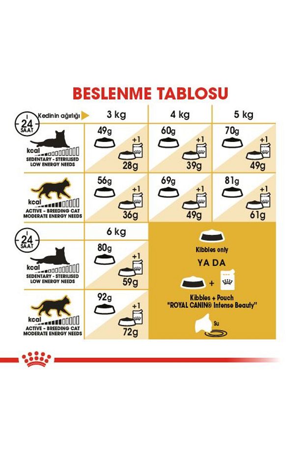 Sfenks Için Yetişkin Kuru Kedi Maması 2kg - 7