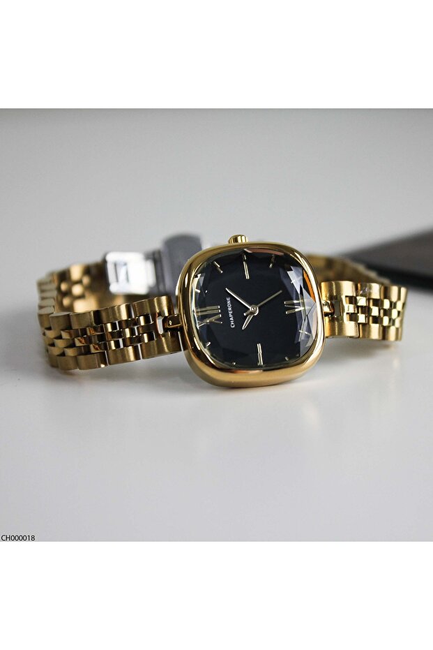 Ch000018 Women's Wrist Watch with Steel Band