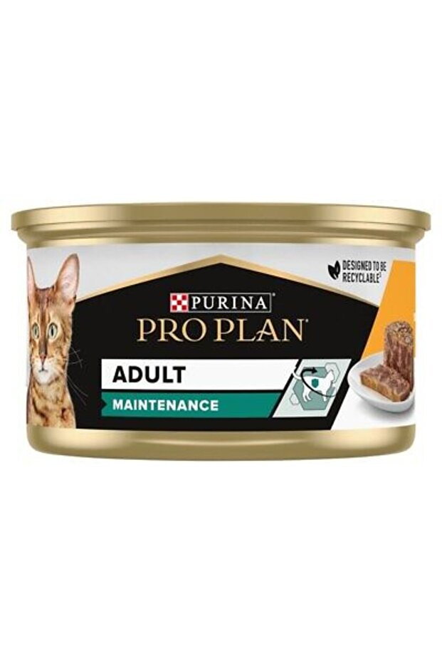 Adult Maintenance, Wet Cat Food Chicken 85g Pack Of 6