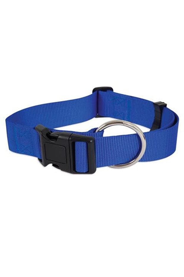 NYLON ADJUSTABLE DOG COLLAR 1 1/2in X20-30in BLUE