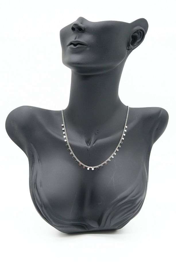 Pullu Silver Renk Çelik Kolye - 1