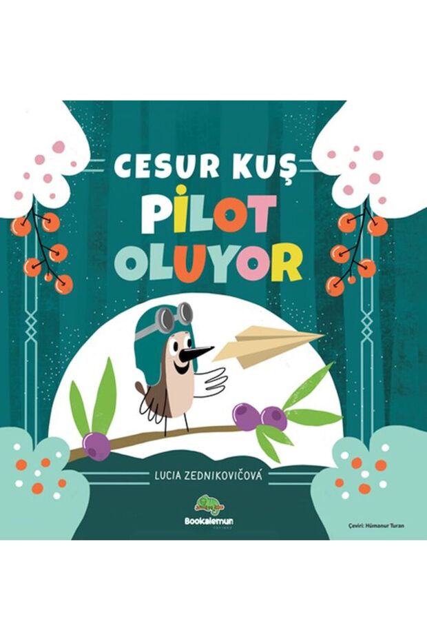 Brave Bird Becomes a Pilot