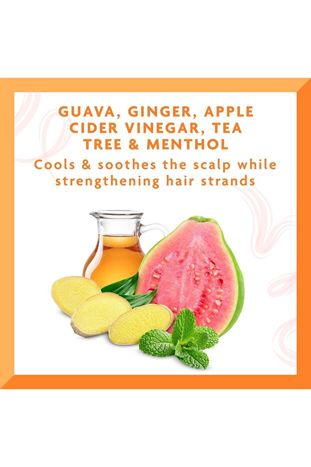 Guava & Ginger Anti-Dandruff Shampoo 400 ml Flake Control & Scalp Refresh with Shea Butter, - 3
