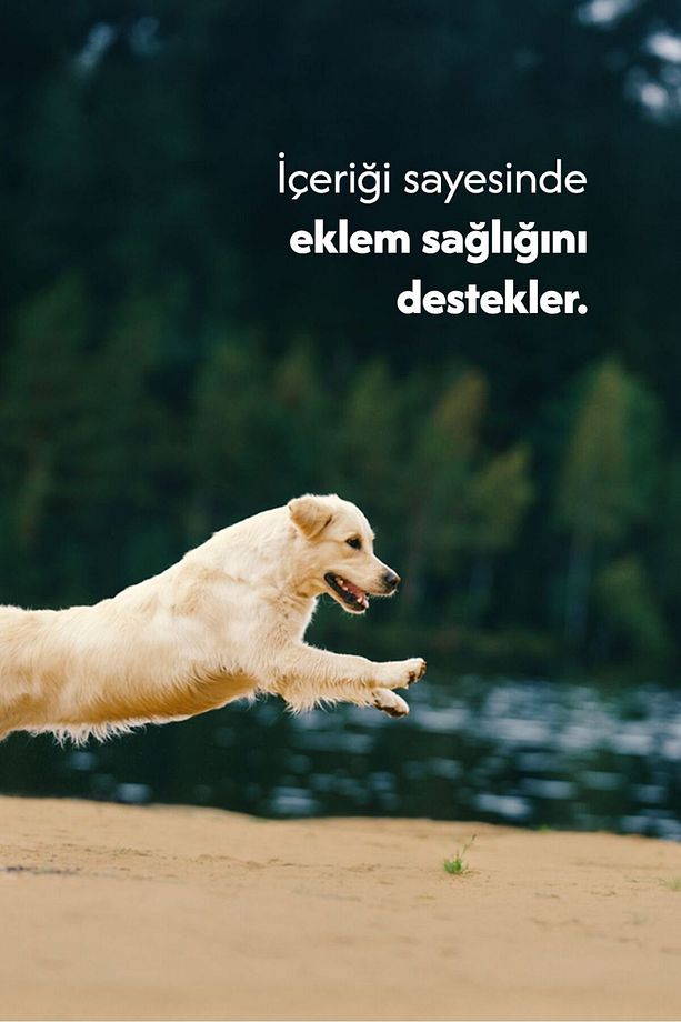 Kuzu Ayak %100 Doğal Kemirmelik Köpek Ödül Maması 2 Adet - 5