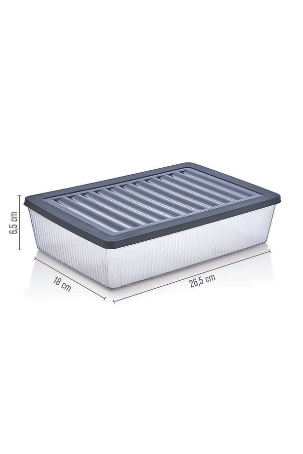 4'Lü Set Buzdolabı Organizer Mikrodalga ve Difrize Uygun Saklama Kabı 4 X 2400 ml - 4