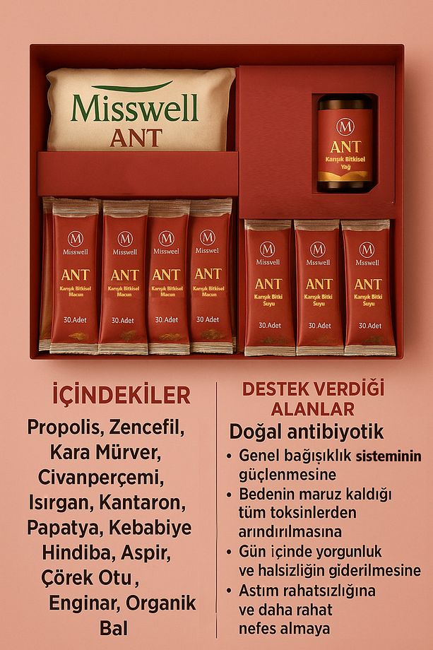 ANT SETİ - 2