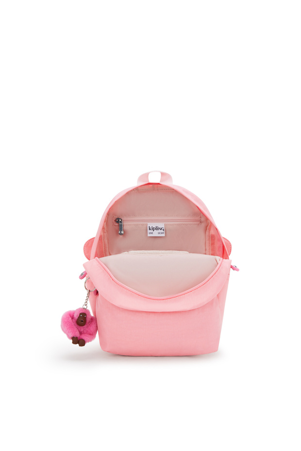 بحر المرجان الأسرع - 5