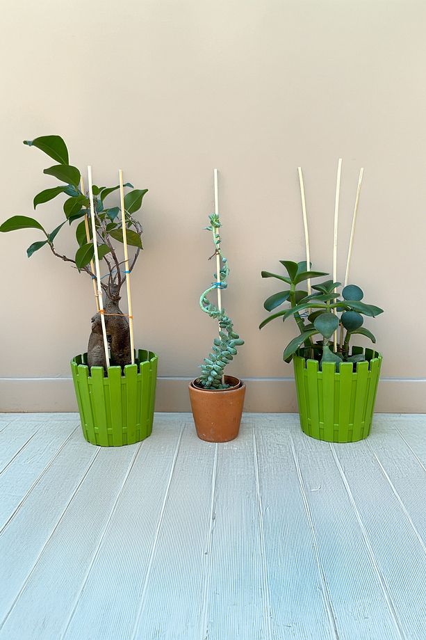 Bitki Fidan Saksı Destek Kazığı 10 Adet 30cm Bambu Destek Çubuğu Seti - 8