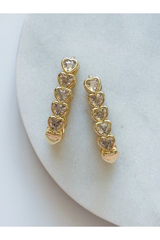 Steel Heart Heart Stone Earrings
