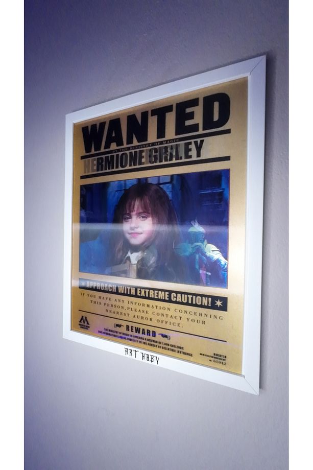 Harry Potter Wanted Series Harry x Harmon x Ron Lenticular 3D Hareketli Tablo Model 2 (ÇERÇEVESİZ) - 3