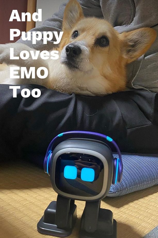Masaüstü Evcil Hayvan Robotu EMO Akıllı Aydınlatma ile (Ev İstasyonu) - 4