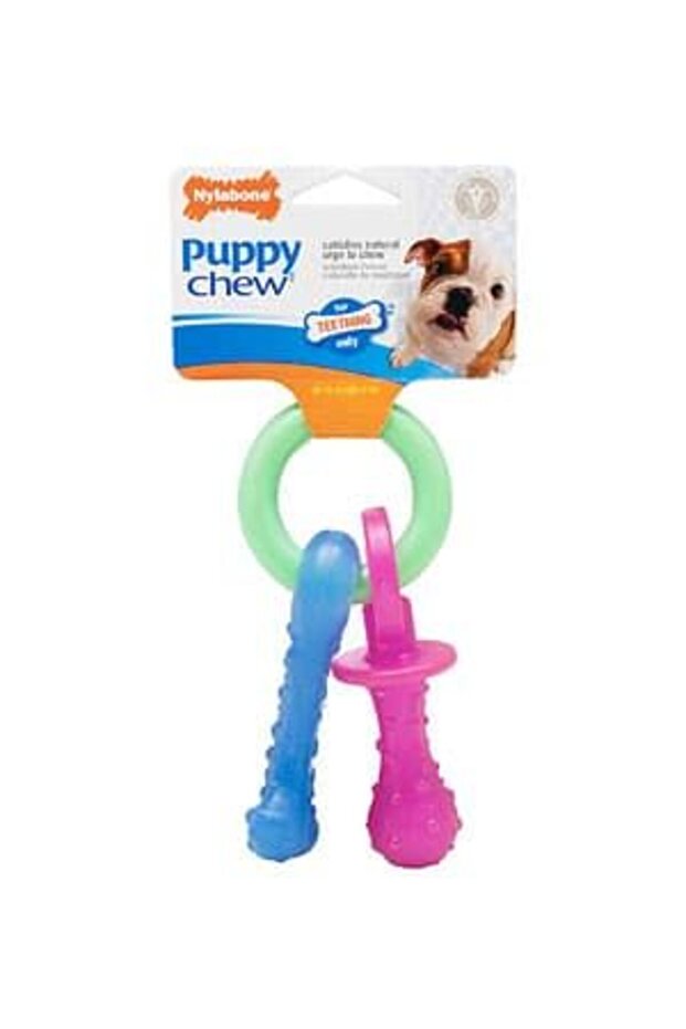 Nylabone Puppy Chew Teething Pacifier, Bacon Petite Nylon Chews